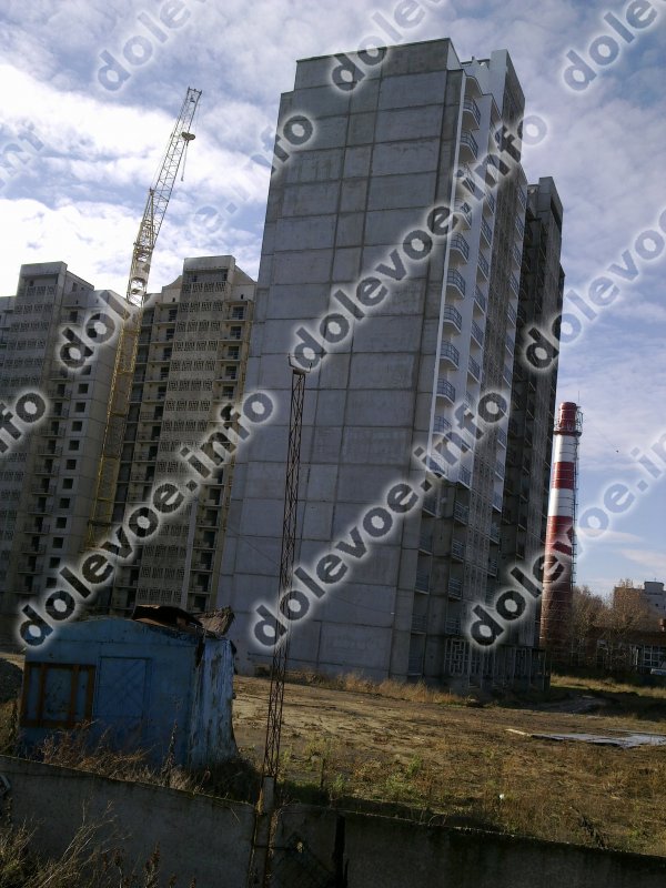 Фото новостройки Жилой дом по ул. Карякина от ДСК (19.12.2010)